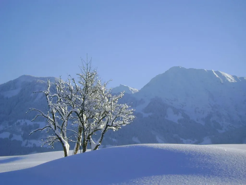 Landhaus Berktold Obermaiselstein Appartamento